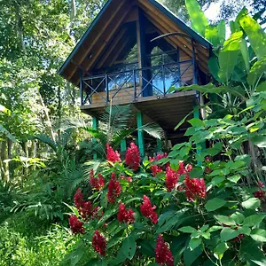 https://cabana-com-cachoeira-privativa.santa-catarina-brasil.com